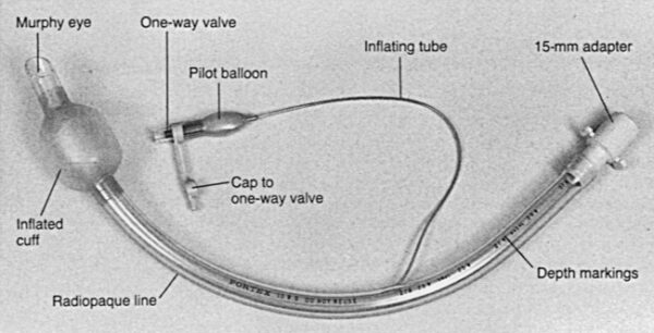 ENDOTRACHEAL TUBE - Image 5