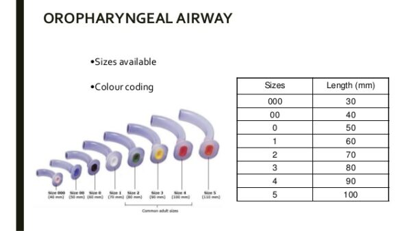 ORAL AIRWAY - Image 7